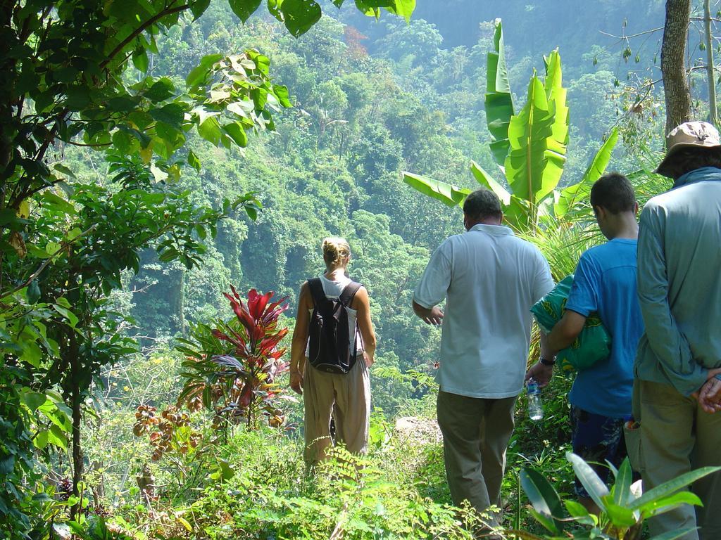 Gunung Paradis Retreat Munduk  Bagian luar foto