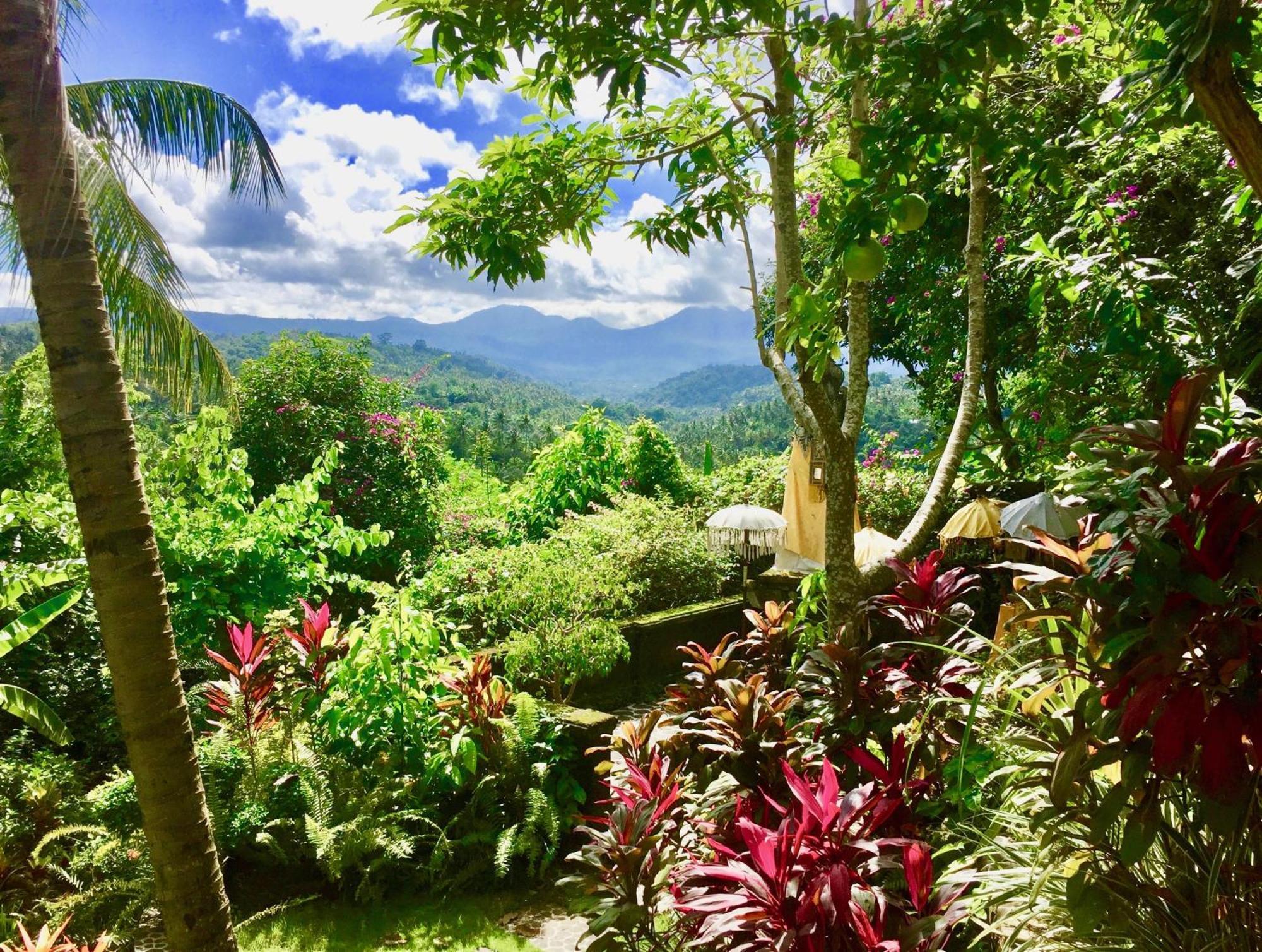 Gunung Paradis Retreat Munduk  Bagian luar foto