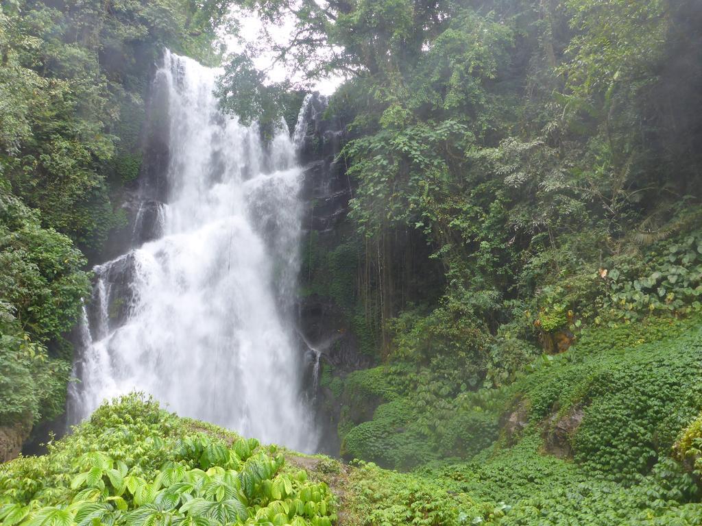 Gunung Paradis Retreat Munduk  Bagian luar foto