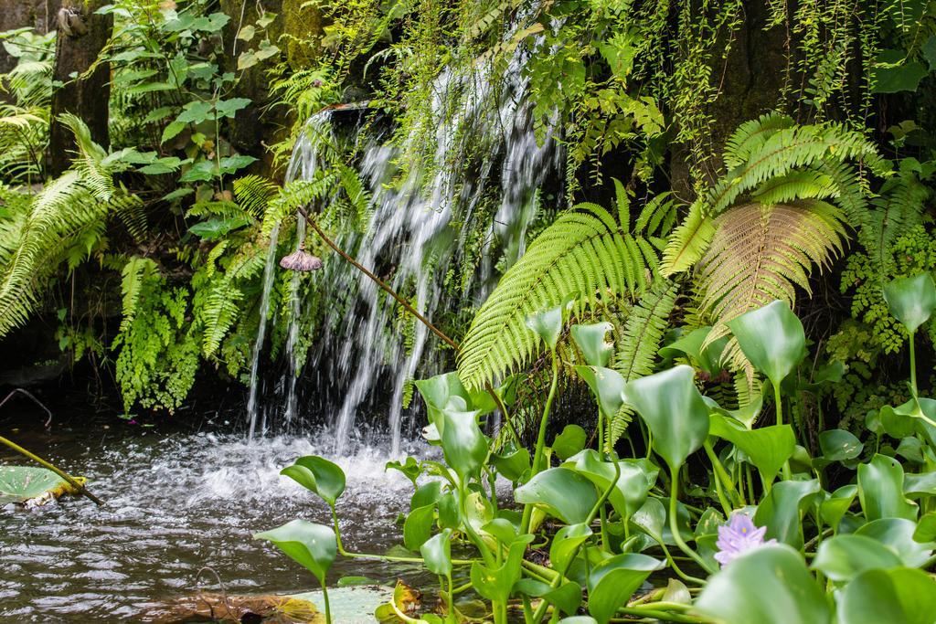 Gunung Paradis Retreat Munduk  Bagian luar foto